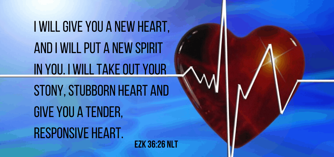We give God our old stony hearts and he gives us new ones in return. How well do we follow his heart recepient after-care protocol?