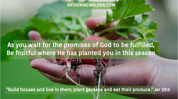 Jer 29:4 -'Build houses and live in them; plant gardens and eat their produce.' As you wait for the promises of God to be fulfilled, be fruitful where He has planted you in this waiting season